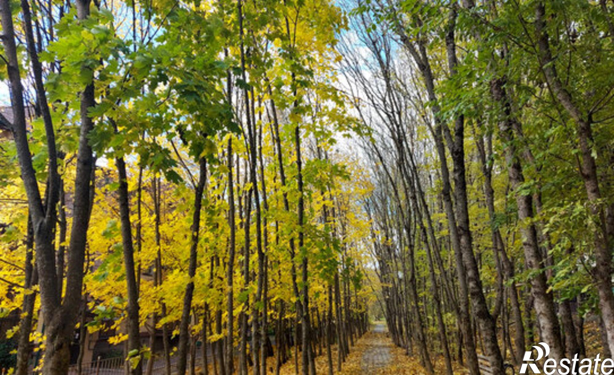 Купить квартиру за 4 100 000 рублей на ул Кленовая роща, 5