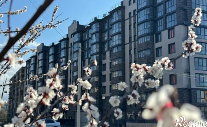 1-комн квартира улица Шмидта, 82,  д. 82