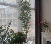 2-комн, 80кв м, этаж 1/4 ул Малая Садовая, 22а