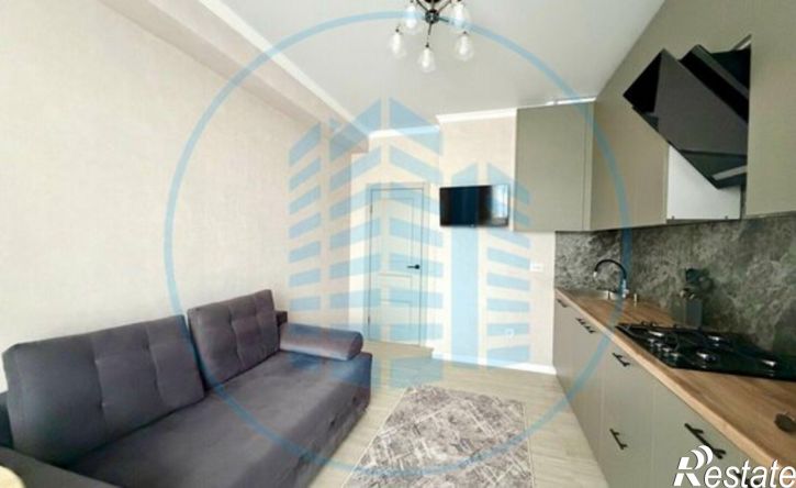 1-комн квартира Очаровательная улица, 14Б,  д. 14Б
