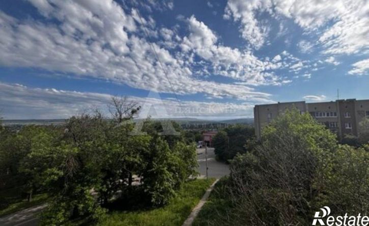 2-комн квартира ул Пушкина, 124,  д. 124