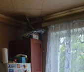 1-комн, 37кв м, этаж 2/5 Вокзальная ул, 47 а