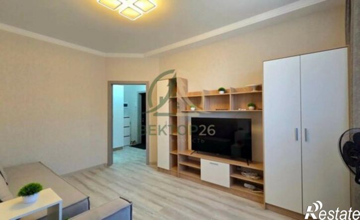 1-комн квартира ул Пушкина, 8,  д. 8