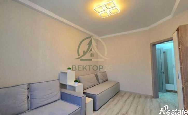 1-комн квартира ул Пушкина, 8,  д. 8