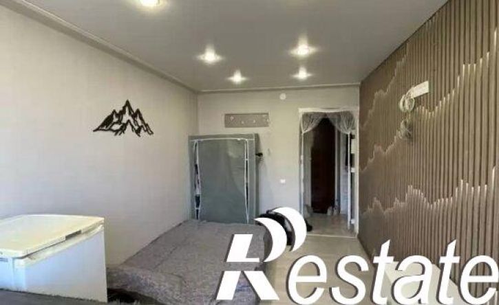 1-комн квартира улица Фридриха Энгельса, 36,  д. 36