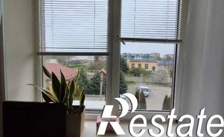 1-комн квартира улица Фридриха Энгельса, 65,  д. 65